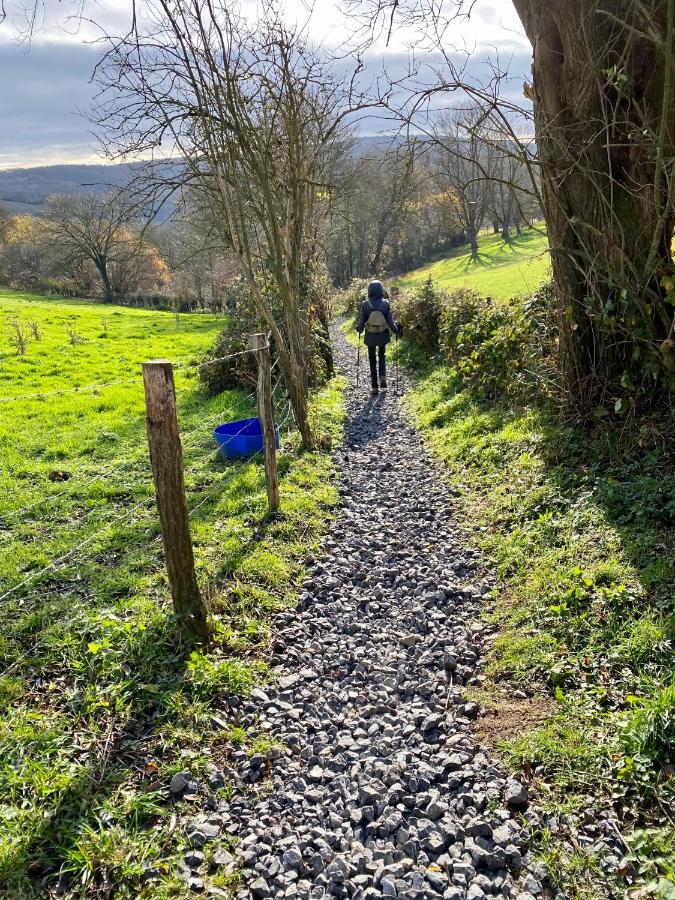 Les Valcaprimontoises Acomodação com café da manhã Chaudfontaine Exterior foto